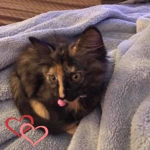 Meet your Posher, Catherine